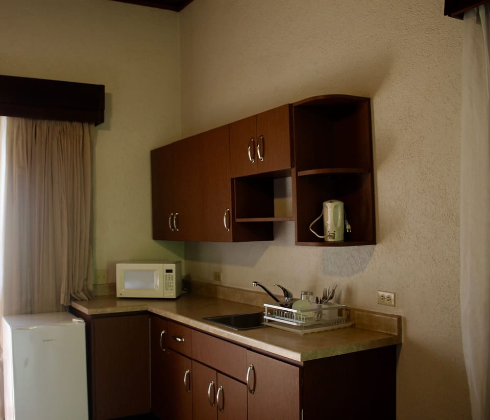 Deluxe Suite, Kitchenette, Mountain View | Private kitchenette | Paper towels