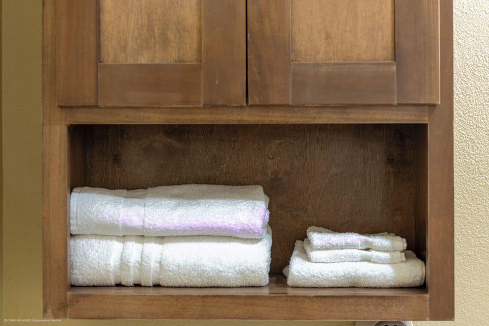 Combined shower/tub, eco-friendly toiletries, hair dryer, towels