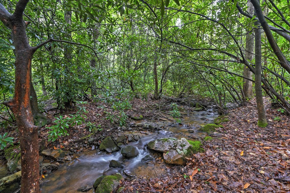 Cottage (2 Bedrooms) | Interior