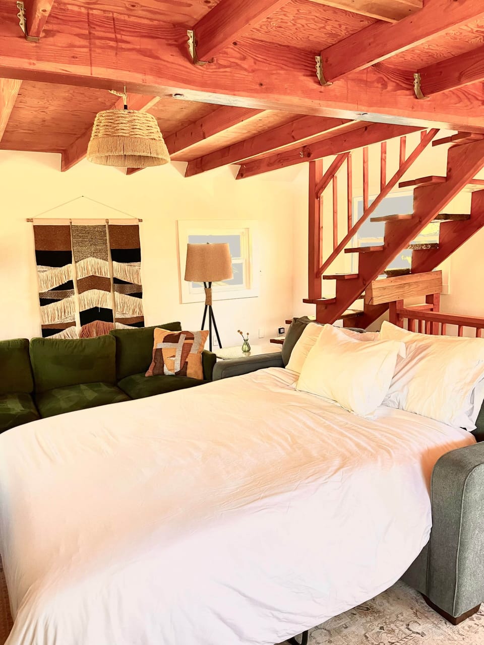 Queen sofa fold out bed in living room