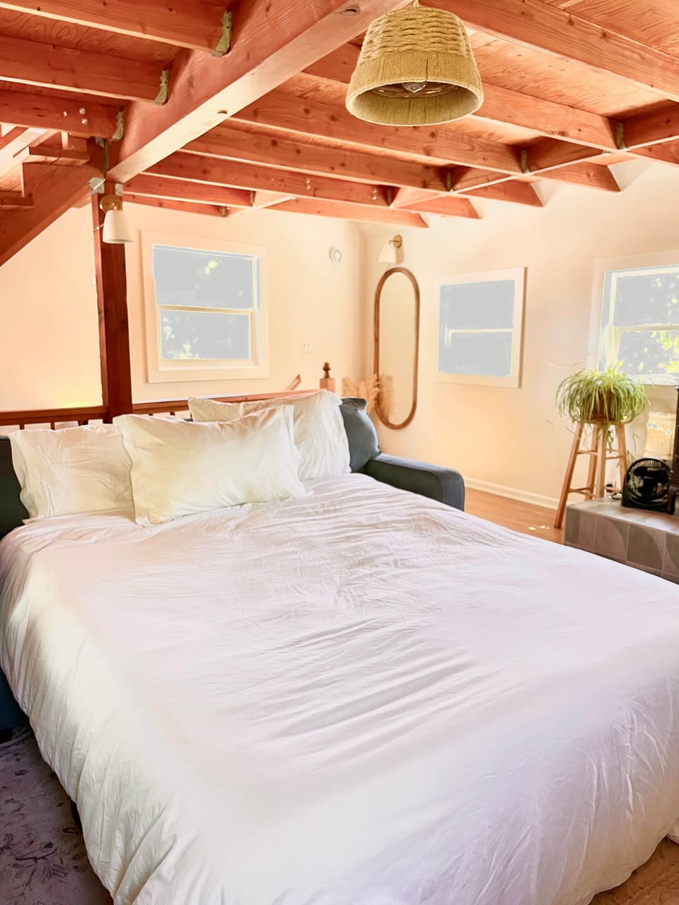 Queen sofa fold out bed in living room