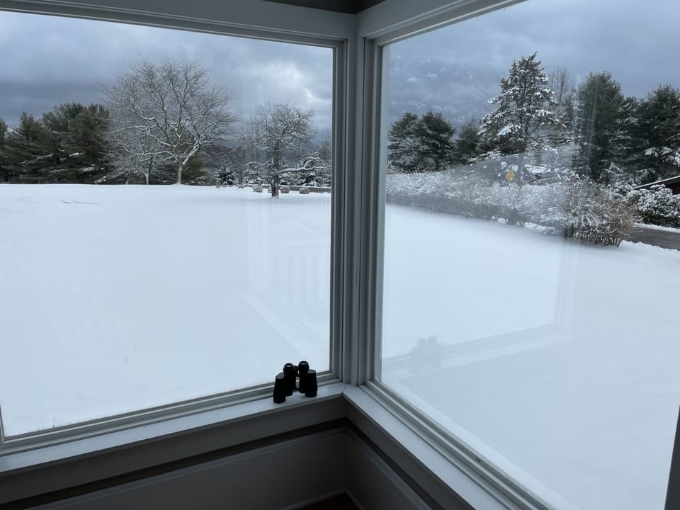 Winter view from dining room picture windows
