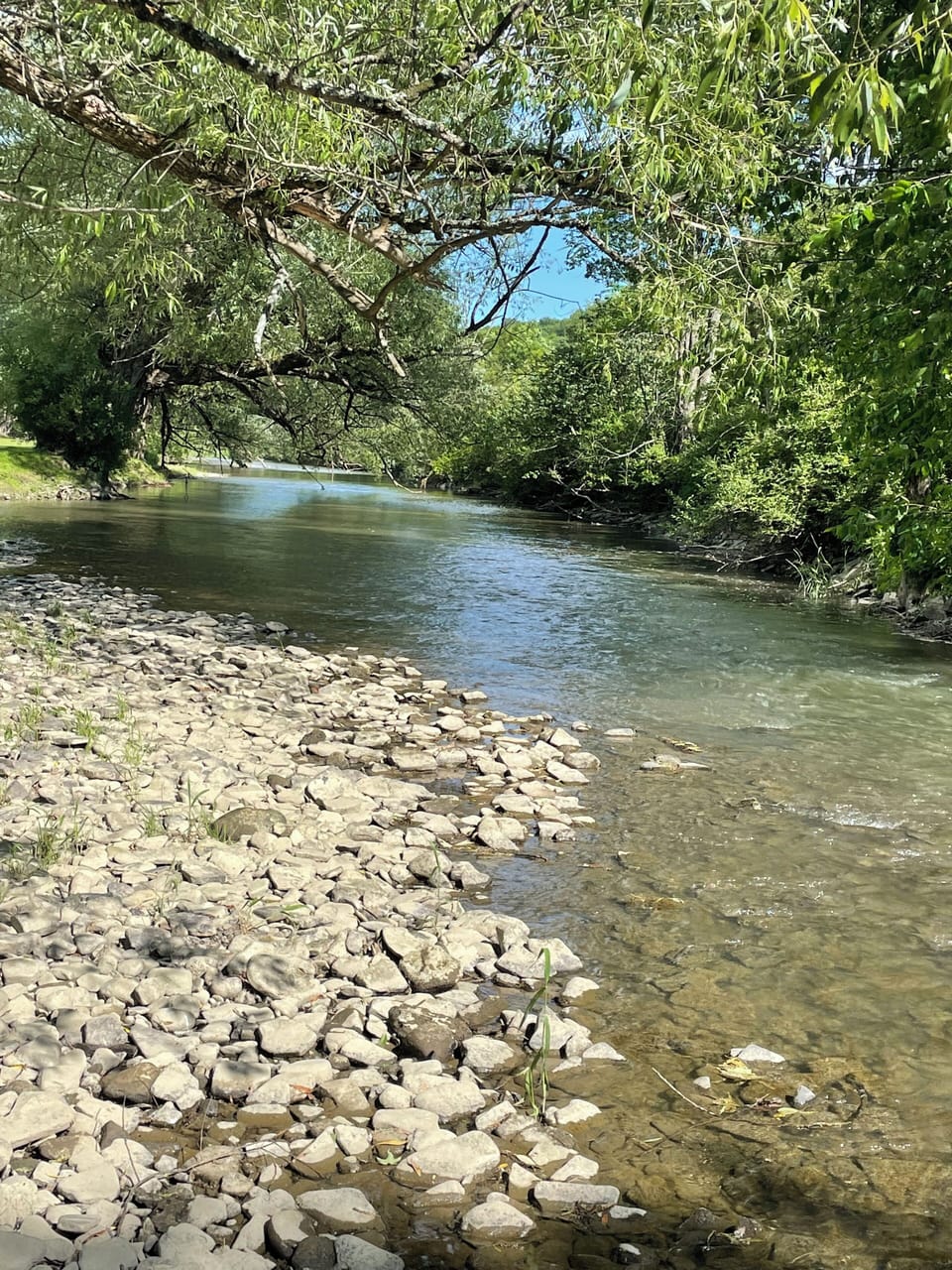 Ischua Creek
