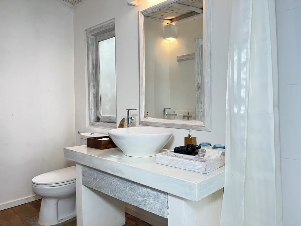 Deluxe Double Room | Bathroom | Shower, free toiletries, hair dryer (on request), towels