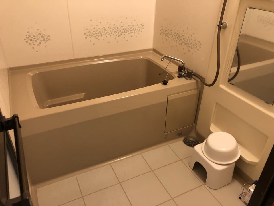 Hair dryer (on request), electronic bidet, towels