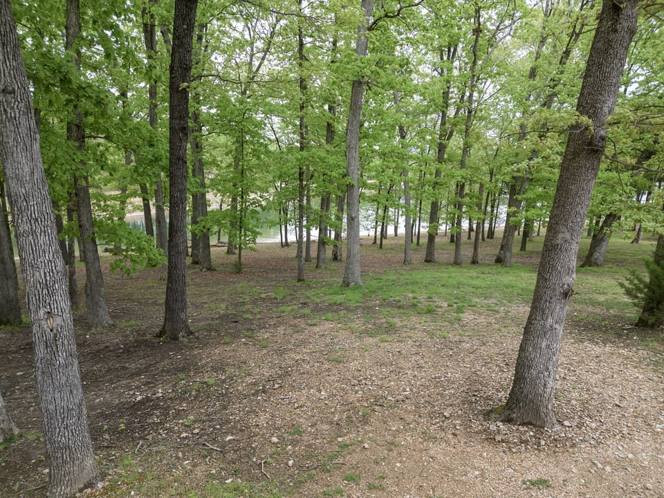 Table Rock lake view