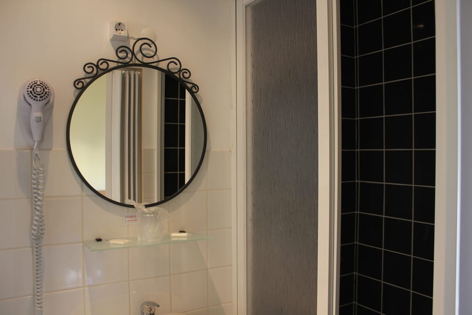 Double Room | Bathroom | Shower, hair dryer, towels