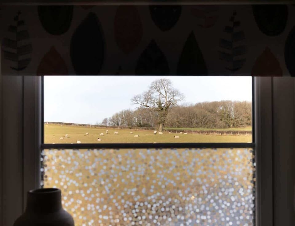 Rural views