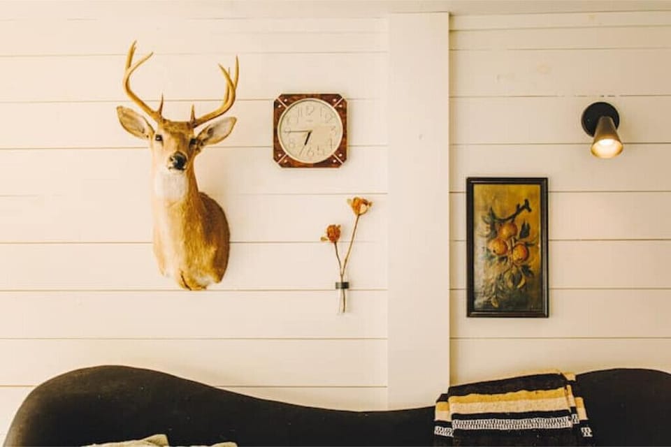 Photo by @heypamcakes
