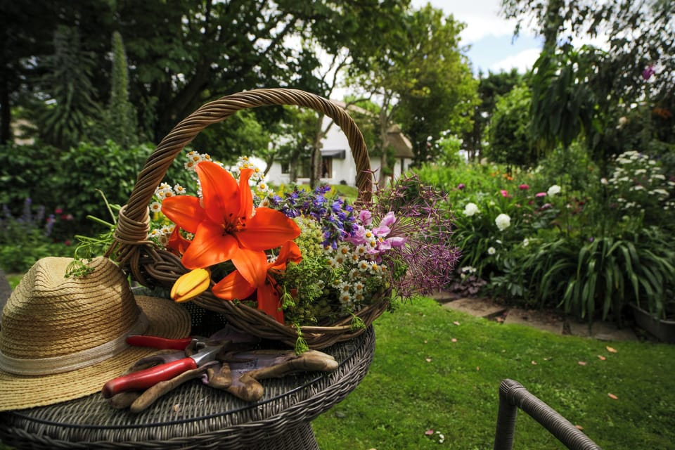 Beautifully landscaped organic cottage & coastal garden with all round interest.
