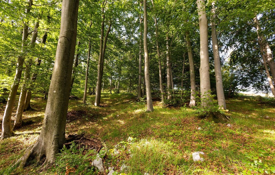 area