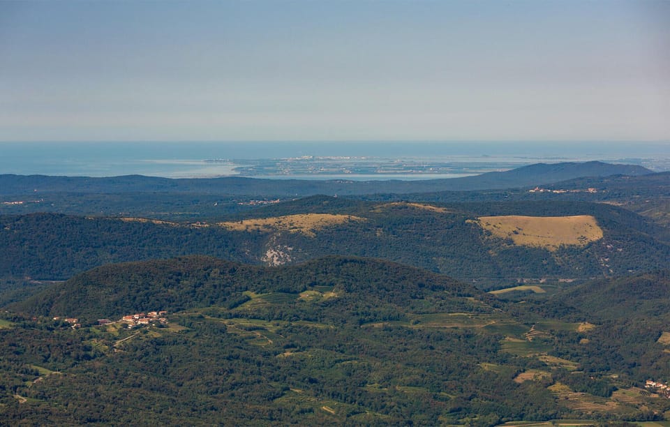 area