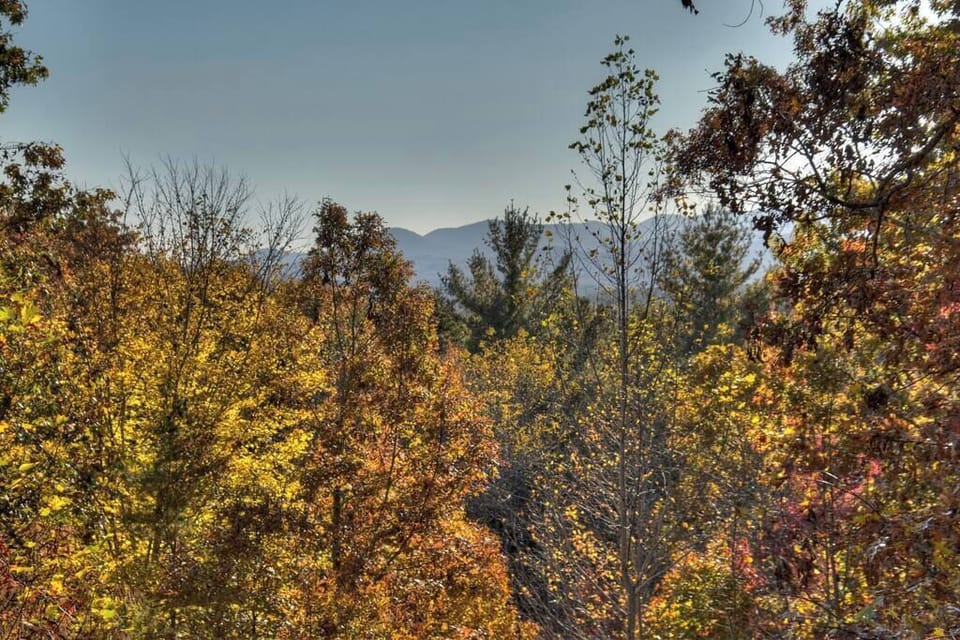 Views from the loft porch