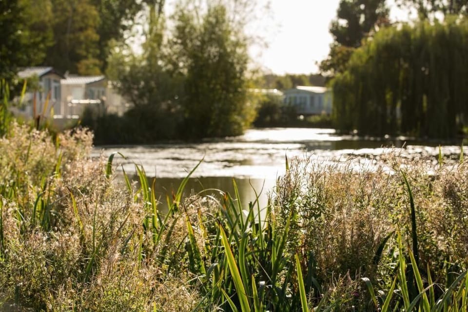 Deluxe Mobile Home, Private Bathroom, Lake View | View from property