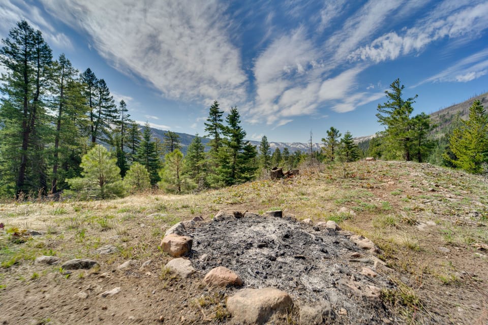 Wooded Yard | Fire Pit