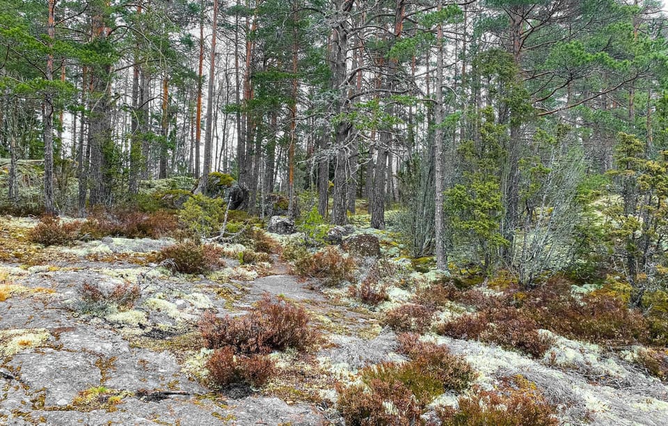 area