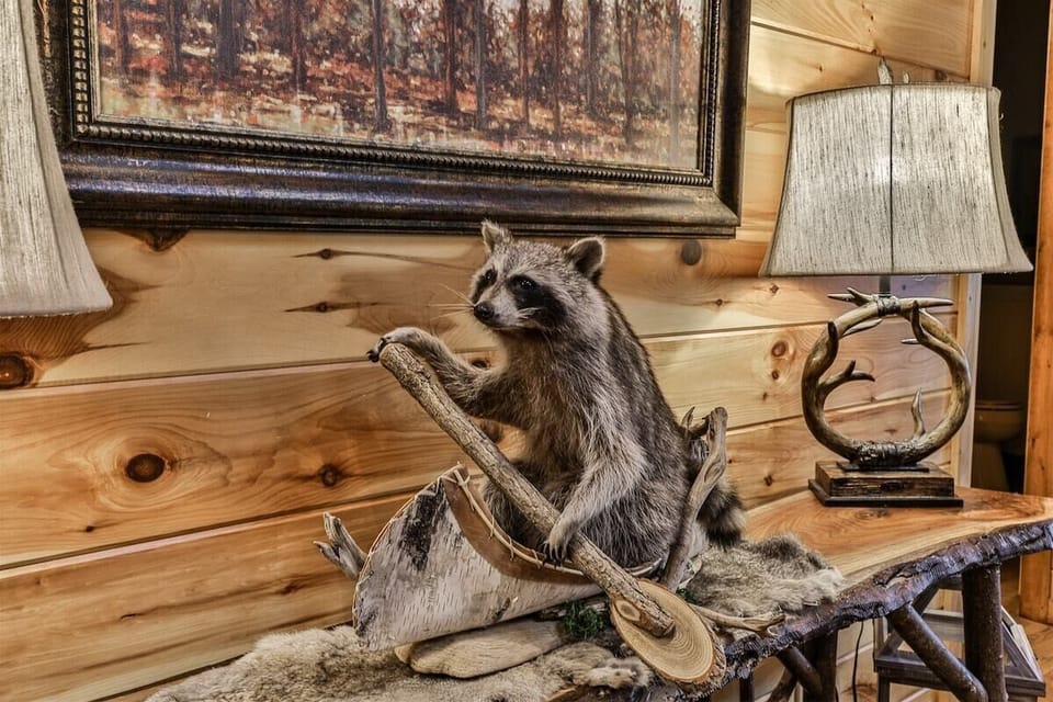 North Georgia Hideaway`s Special Guest