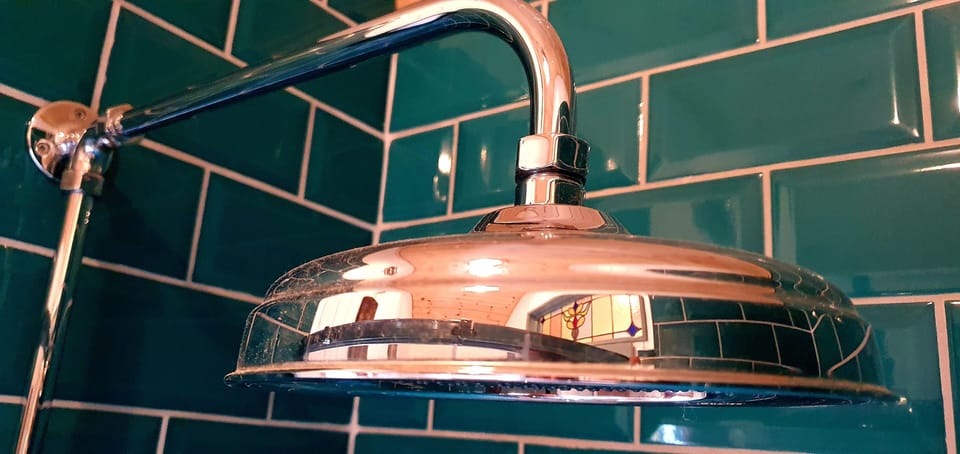 Hand-held showerhead