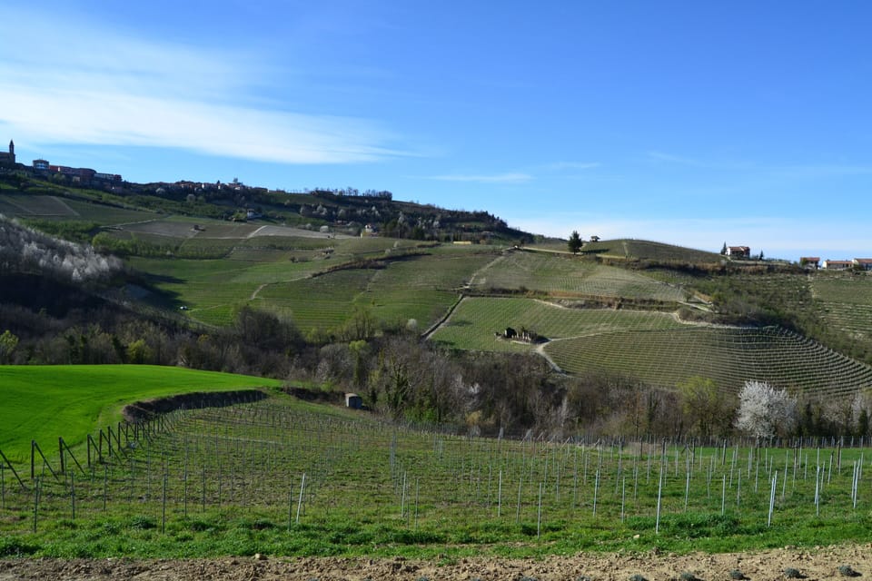 Winery