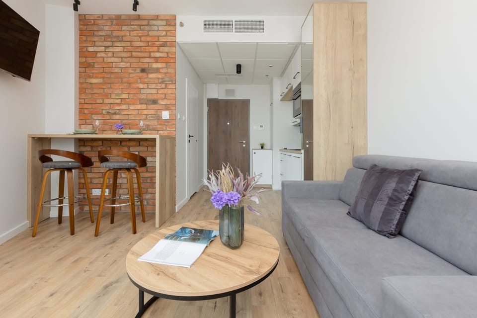 The spacious living area features a comfortable sofa bed and a flat-screen television.