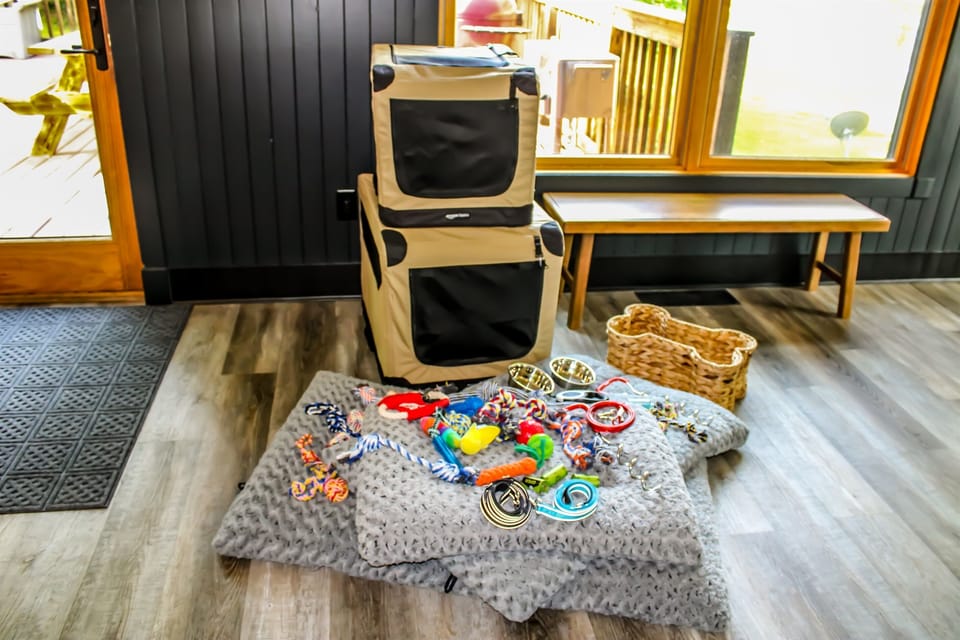 Dog-friendly setup with kennels, beds, and pet amenities