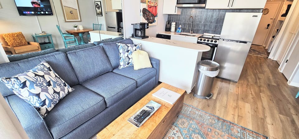 Brand new sleeper sofa (4/2025)