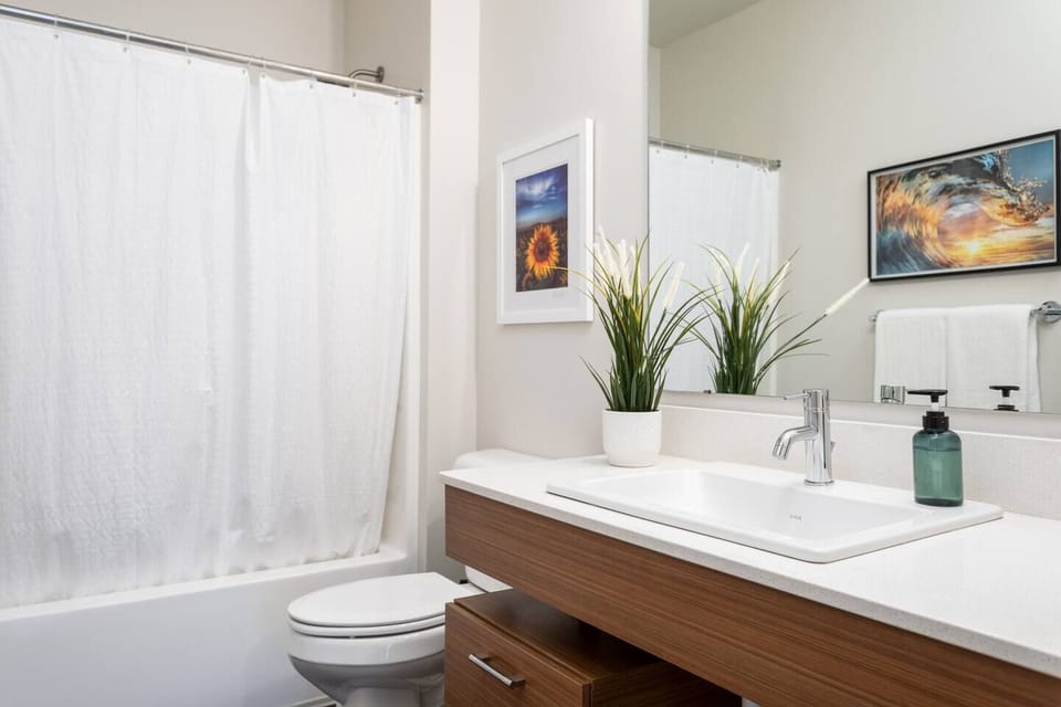 Shampoo, conditioner, body wash, hand soap, blow dryers, lint roller, iron and ironing board are all provided. 