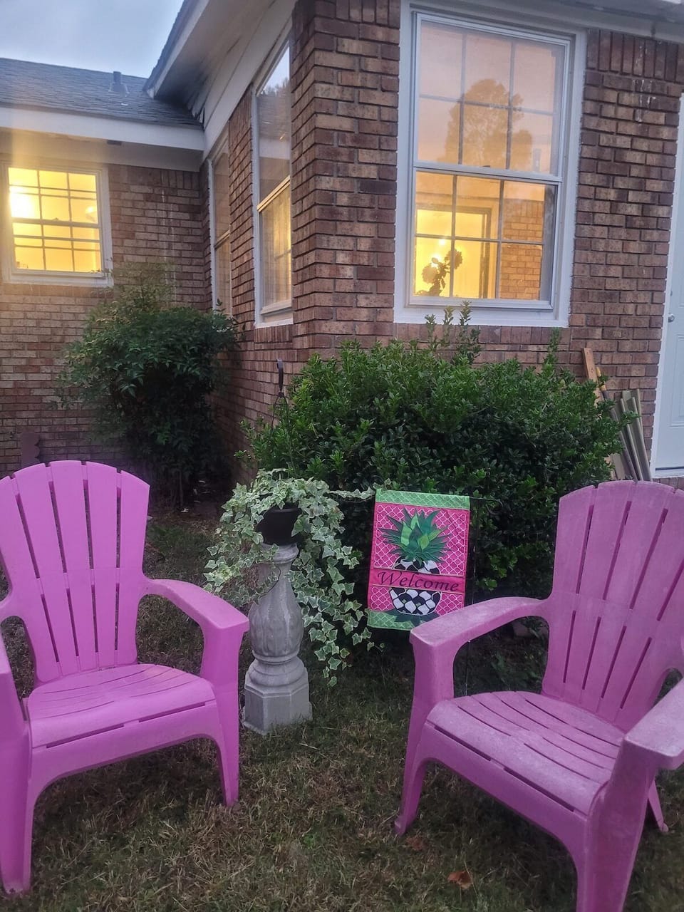 Back yard 