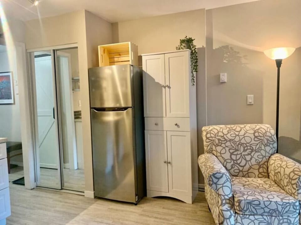 Full size fridge and storage.
