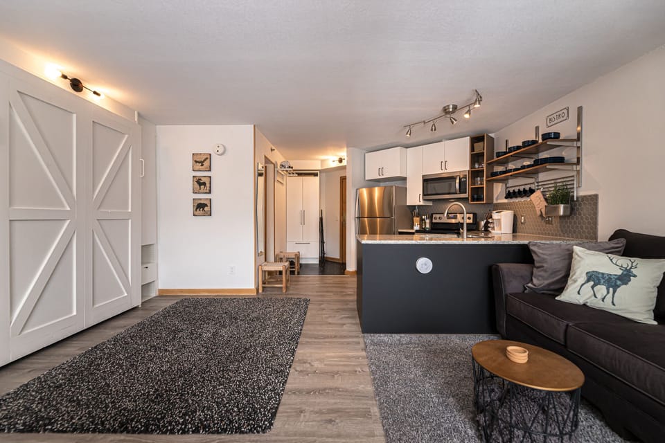 Modern studio apartment featuring a kitchen with stainless steel appliances, a living area with a dark sofa, a mounted TV, and a compact dining space. Decor includes nature-themed pillows and wall art.