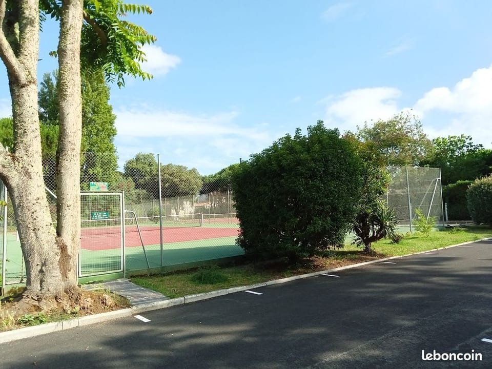 Sport court