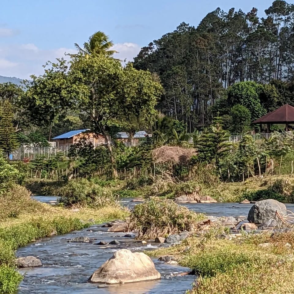 Water view