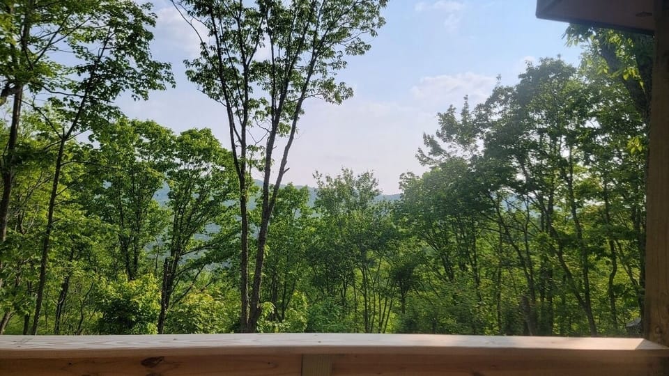 Summer view