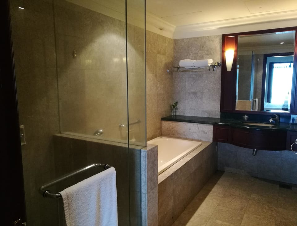 Shower, free toiletries, hair dryer, towels