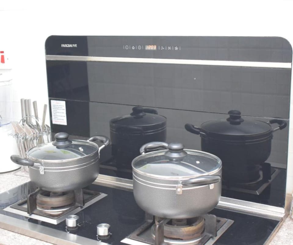 Deluxe Apartment | Private kitchen | Fridge, microwave