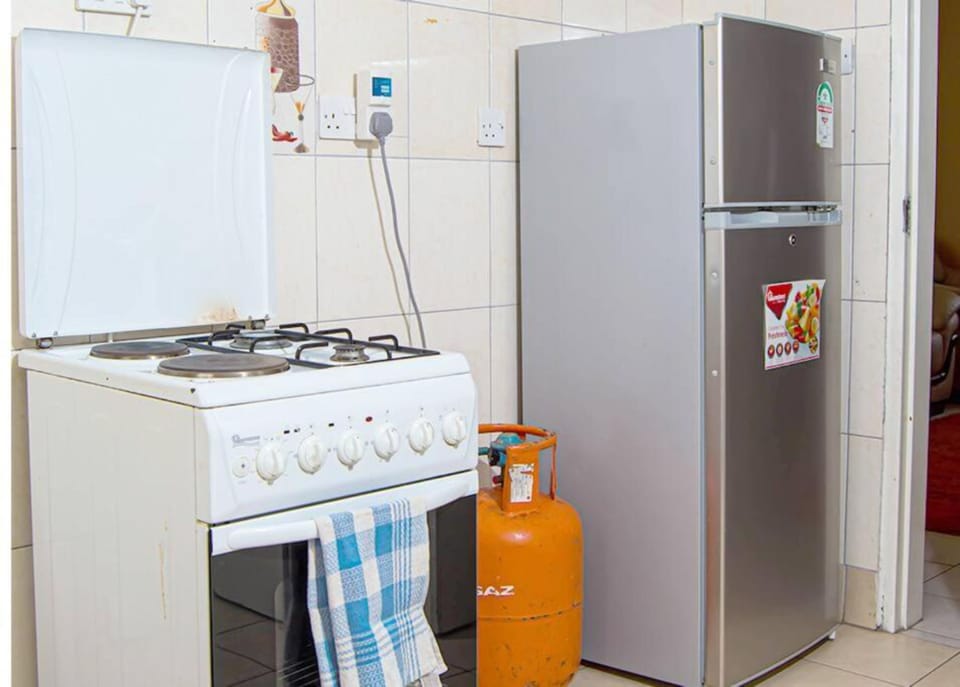 Deluxe Apartment | Private kitchen | Fridge, microwave, cookware/dishes/utensils