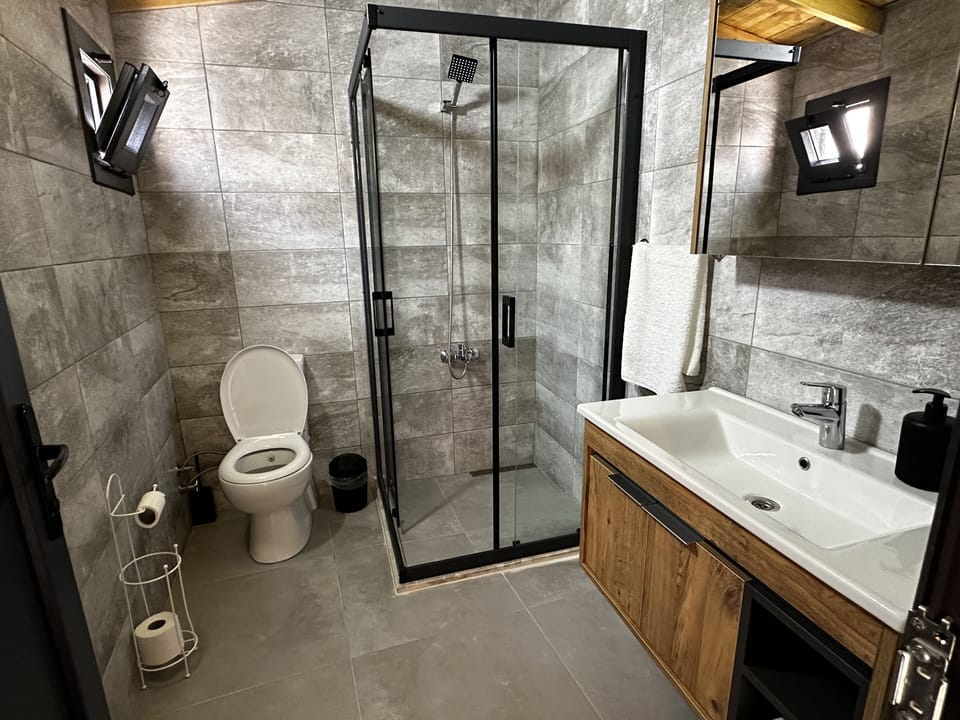 Deluxe Room | Bathroom | Shower, rainfall showerhead, hair dryer, towels