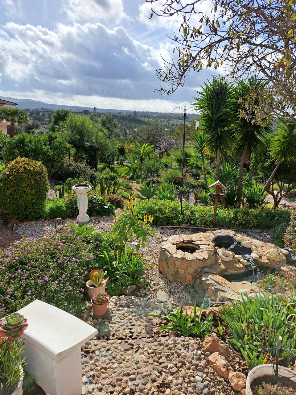 Enjoy wandering around the garden.