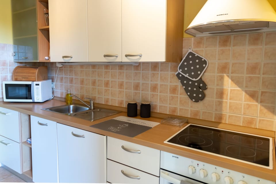 Full-size fridge, microwave, oven, dishwasher
