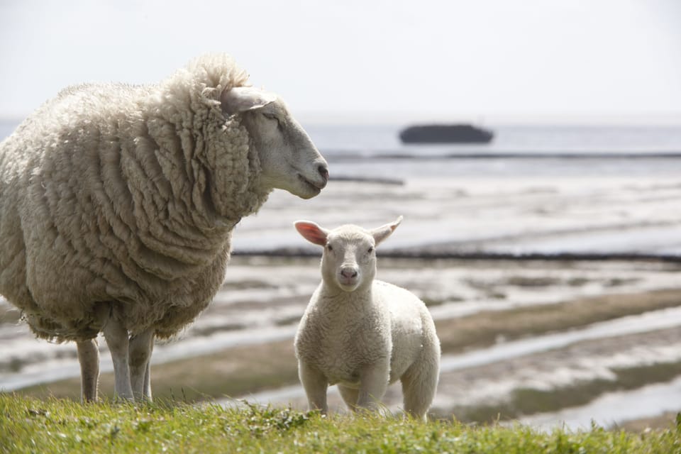 Land view from property