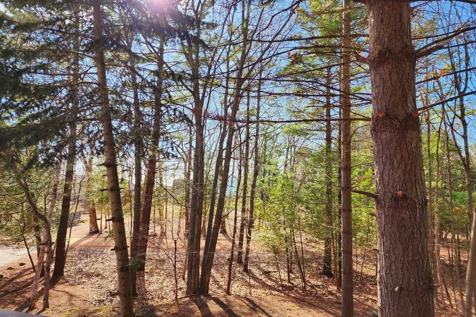 View from Deck