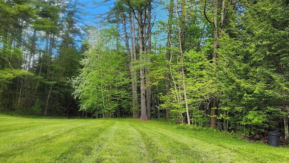 Large open space for games and fun. There are 3 Firepits with seating 