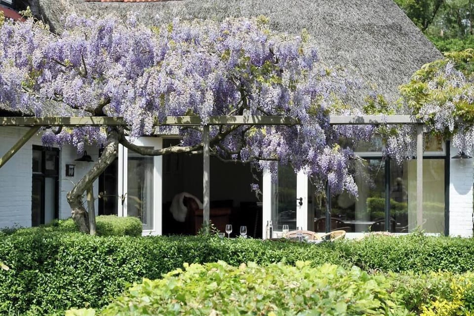 Garden (1)
