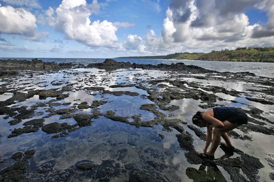 Explore Kauai’s unique tide pools—perfect for curious minds and coastal wanderers.