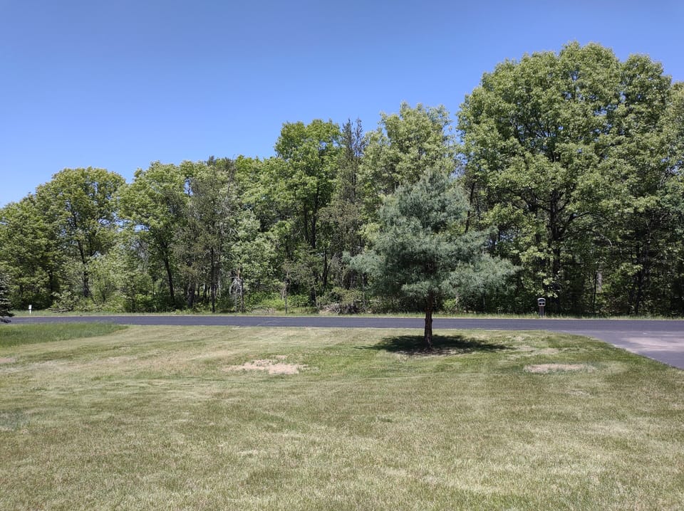 View from front porch. Just beyond the trees is the Pines Golf Course.