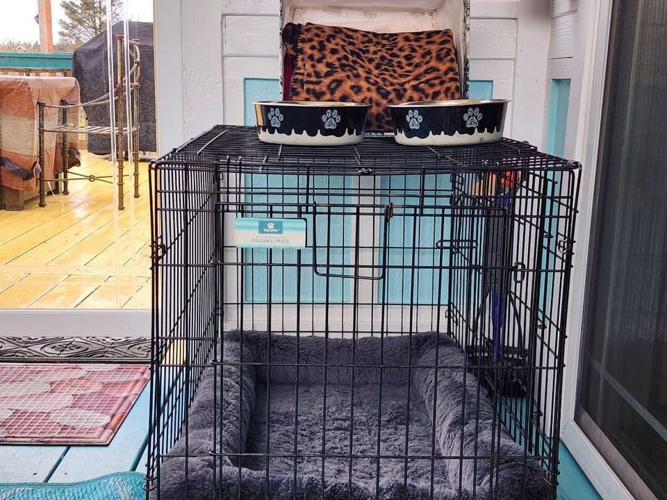 Medium dog crate with dishes and blankets available for your furry family members.
