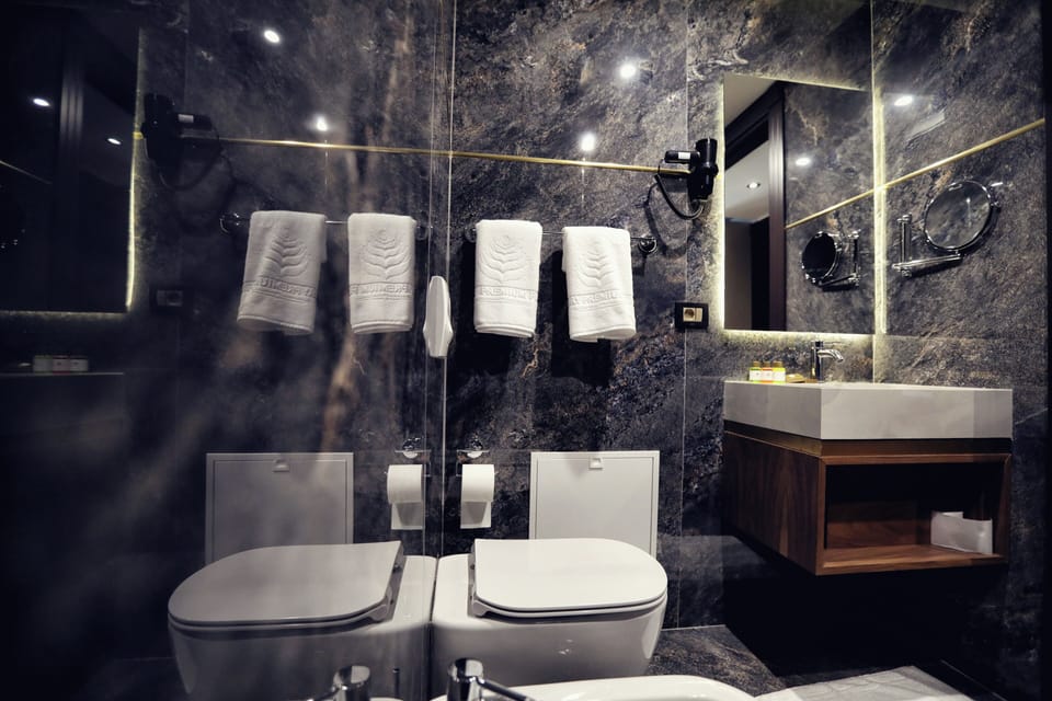 Standard Double Room | Bathroom | Shower, hair dryer, bathrobes, slippers