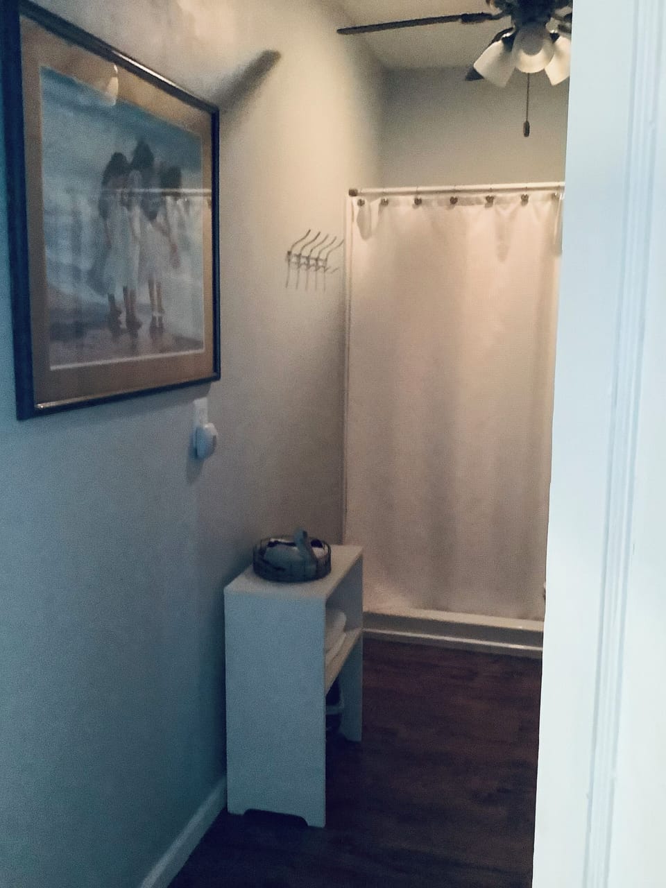 2nd bathroom , 5 ft. Step in shower