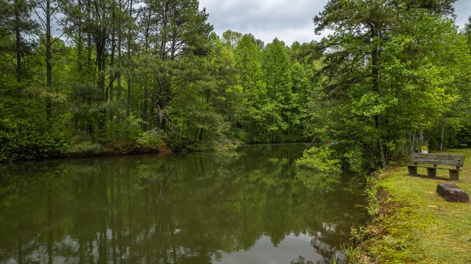 Enjoy the Tranquility of the North Georgia Mountains
