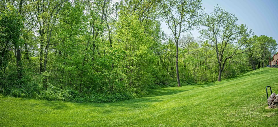 Backyard view